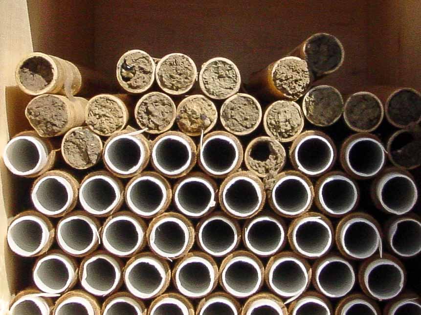 mason-bees-supply--2