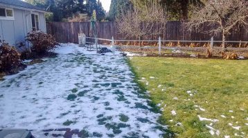 snow is thawing - prepare for early spring